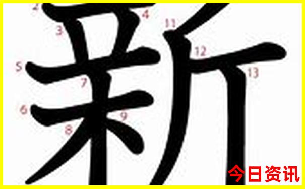 新澳门第一时间天天全新指南免费全新解答精准-新2025澳门天天开好彩