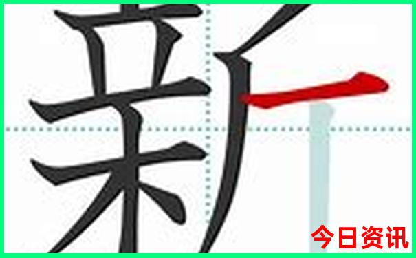 新澳门第一时间天天全新指南免费全新解答精准-2025全年资料免费大全